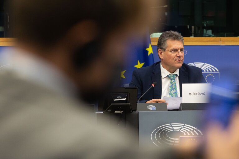 Fotografija 32: Conference on the Future of Europe (CoFoE) - Working groups