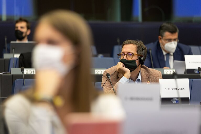 Fotografija 16: Conference on the Future of Europe (CoFoE) - Working groups