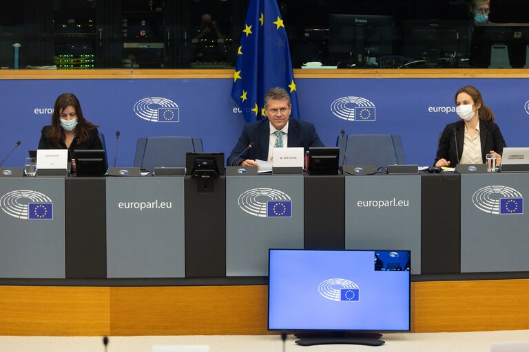 Fotografija 36: Conference on the Future of Europe (CoFoE) - Working groups