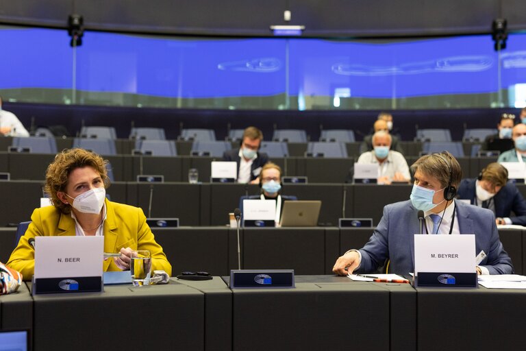 Fotografija 41: Conference on the Future of Europe (CoFoE) - Working groups