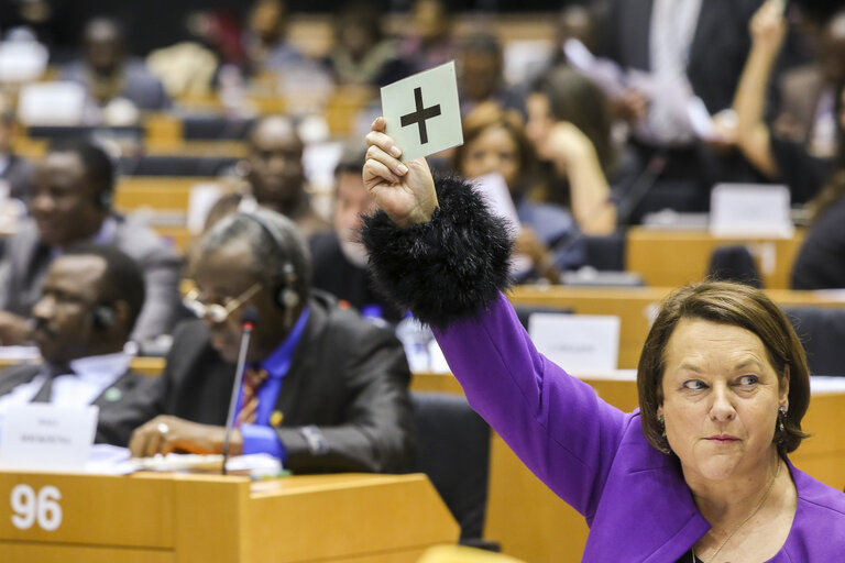 30th Session of the ACP-EU Joint Parliamentary Assembly. Vote