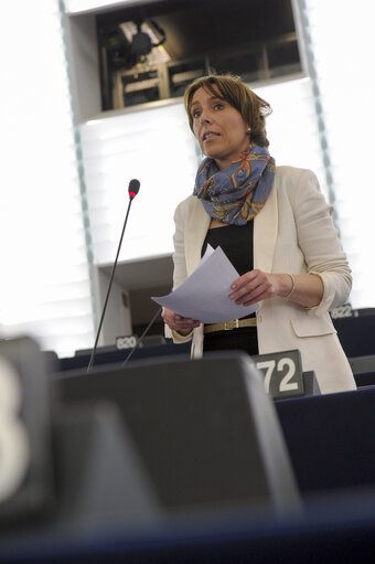 Plenary session week 18 2015 in Strasbourg - Discharge 2013