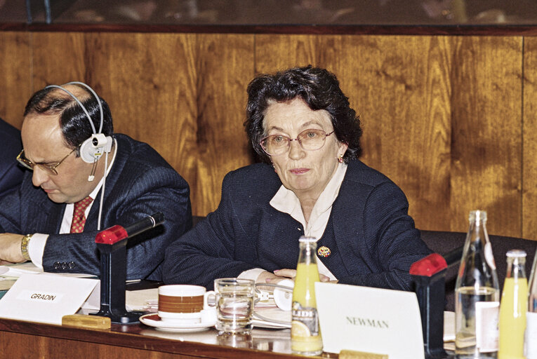 Fotografija 7: Hearing of Anita GRADIN (Sweden), Commissioner designate for Immigration Justice & Home Affairs