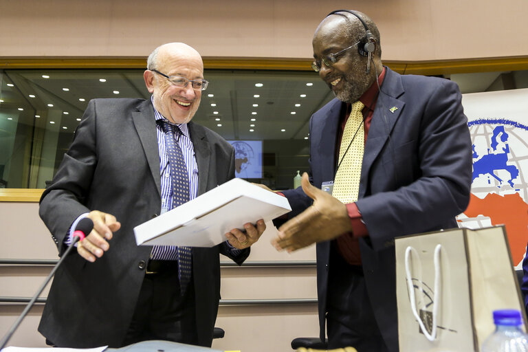 30th Session of the ACP-EU Joint Parliamentary Assembly. Vote