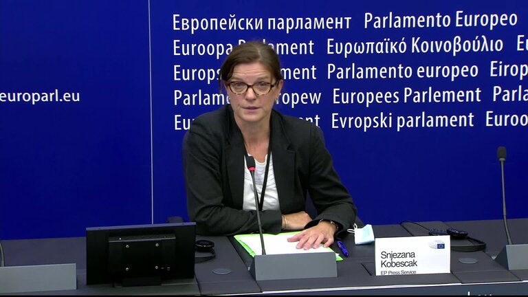 Press conference by Tonino PICULA (S&D, HR), rapporteur on the future of EU-US relations