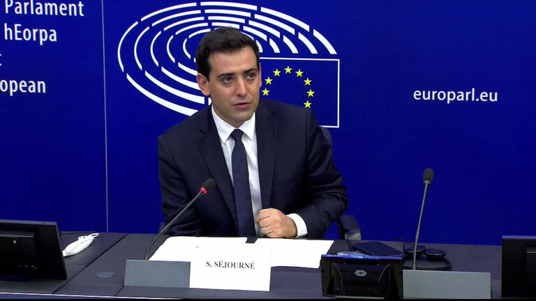 EP Press conference Towards 2024, Renew Europe objectives and political orientations