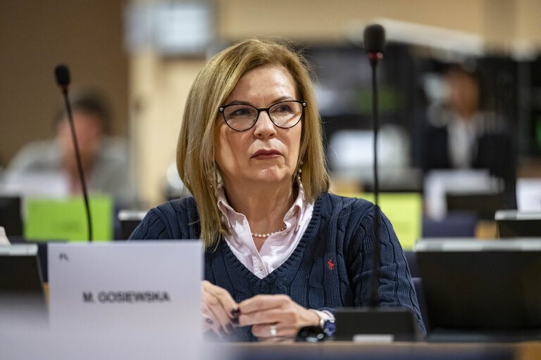 Fotografi 14: DROI - Hearing on the Rights of the Child in the EU external policy