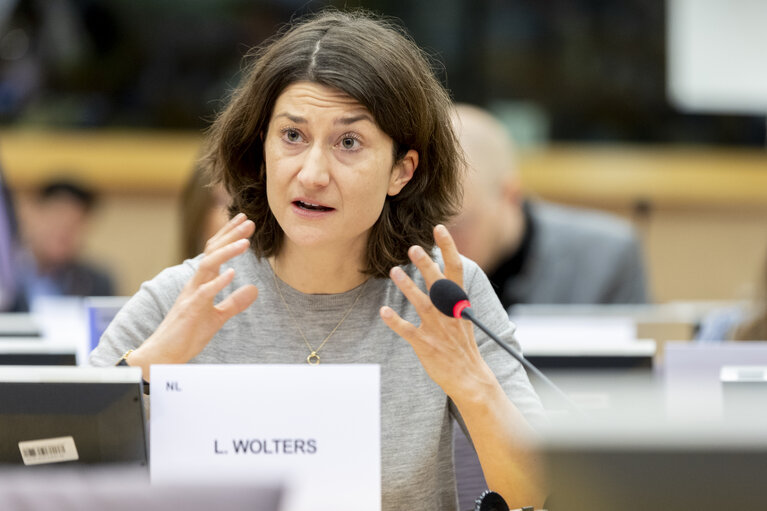 Fotografia 8: ECON - Structured Dialogue with Teresa Ribera, Executive Vice-President of the European Commission for a Clean, Just and Competitive Transition