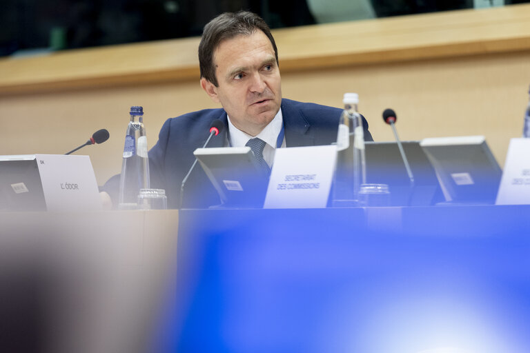 Fotografia 1: ECON - Structured Dialogue with Teresa Ribera, Executive Vice-President of the European Commission for a Clean, Just and Competitive Transition