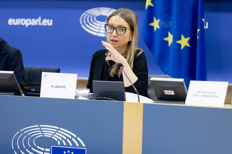 Fotografi 20: ECON - Public Hearing on The impact of markets in crypto-assets on financial stability