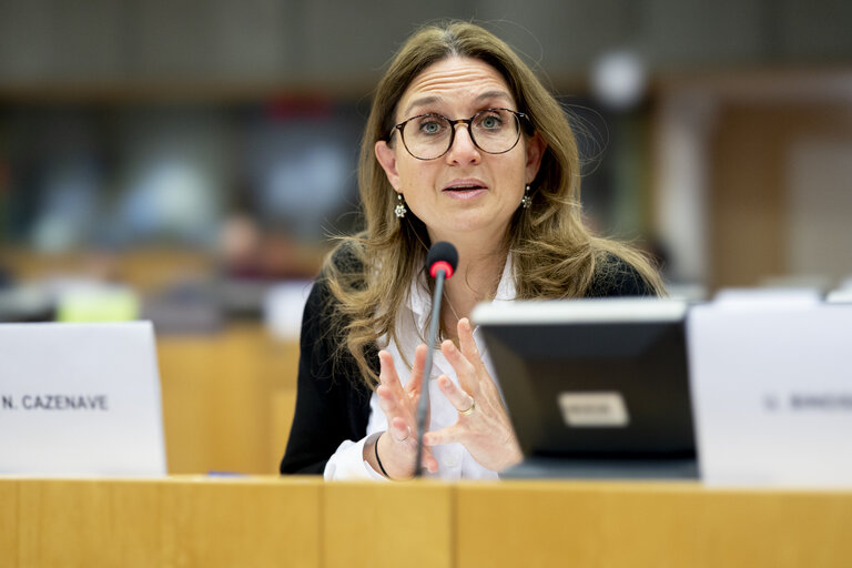Fotografi 16: ECON - Public Hearing on The impact of markets in crypto-assets on financial stability
