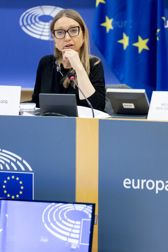 Fotografi 19: ECON - Public Hearing on The impact of markets in crypto-assets on financial stability