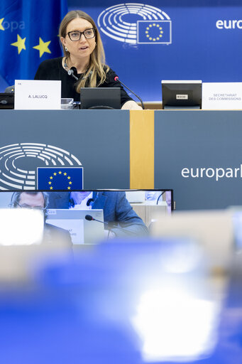 Fotografi 22: ECON - Public Hearing on The impact of markets in crypto-assets on financial stability