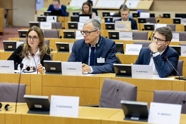 Fotografi 2: ECON - Public Hearing on The impact of markets in crypto-assets on financial stability
