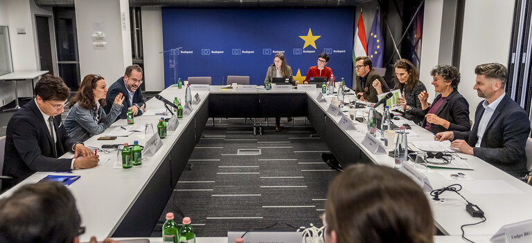 Suriet 15: LIBE delegation Rule of Law mission in Budapest, Hungary