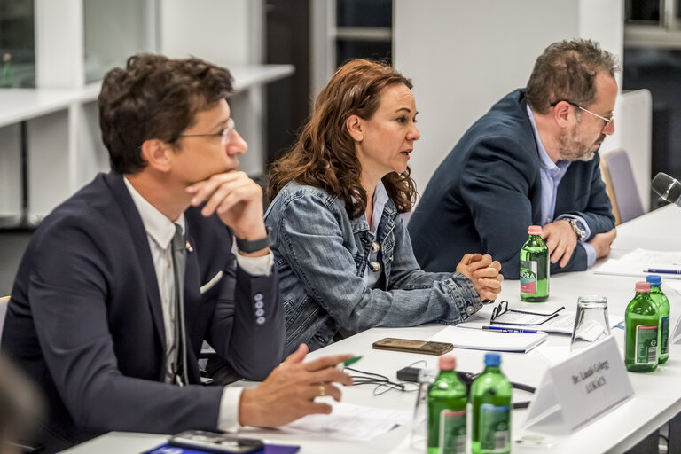 Suriet 11: LIBE delegation Rule of Law mission in Budapest, Hungary