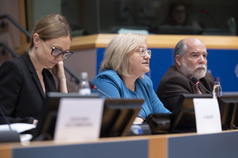 Fotografi 28: ECON - Exchange of views with Mariana Kotzeva, Director-General of Eurostat