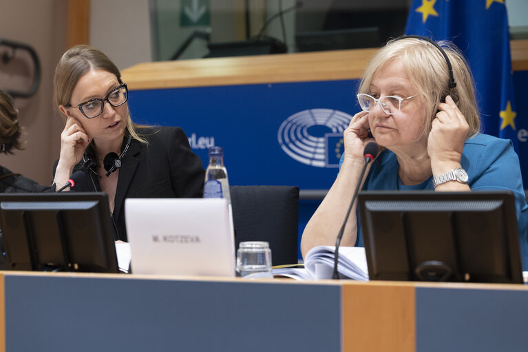 Fotografi 13: ECON - Exchange of views with Mariana Kotzeva, Director-General of Eurostat