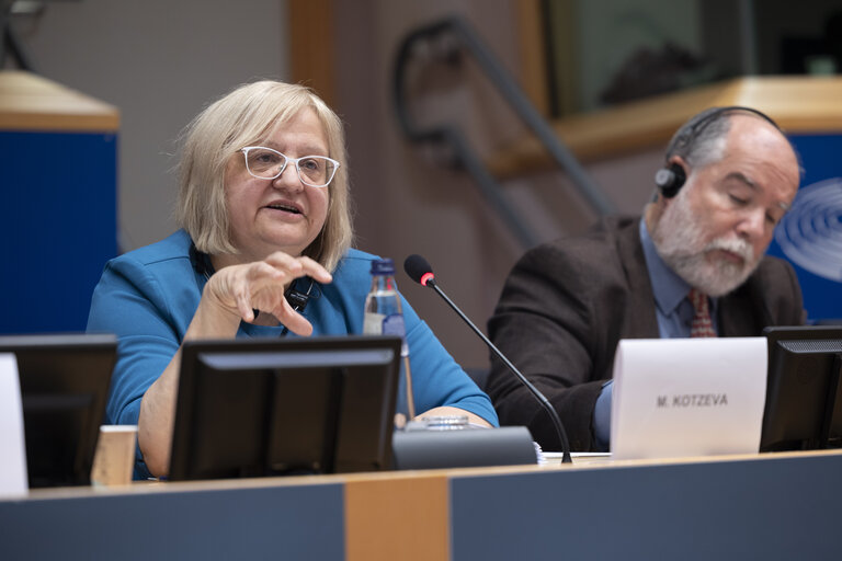 Fotografi 8: ECON - Exchange of views with Mariana Kotzeva, Director-General of Eurostat