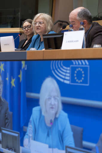 Fotografi 22: ECON - Exchange of views with Mariana Kotzeva, Director-General of Eurostat